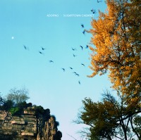 Sugartown Cabaret / Adorno