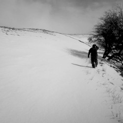 In the Silence of the Subconscious