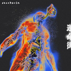 運命街