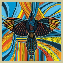 Something This Bright Should Explode