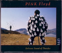 Delicate Sound of Thunder