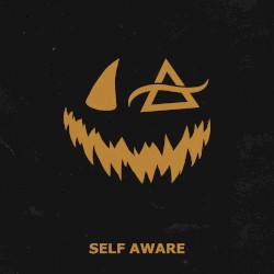 Self Aware