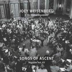 Nigunim, Vol. VII: Songs of Ascent