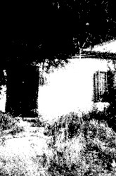 Forbidden Creatures of Time