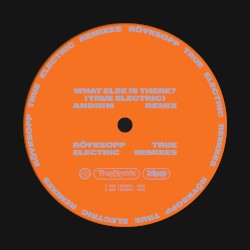 What Else Is There? (andhim extended remix)