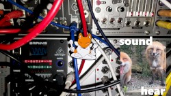 Let Me Play Your Modular Setup Buddy!