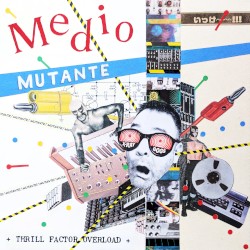 Thrill Factor Overload