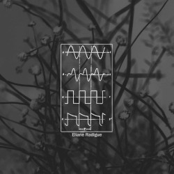 A tribute to Eliane Radigue