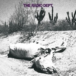 Freddie and the Trojan Horse