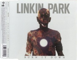 Burn It Down