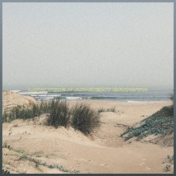 low tide // ancient growth