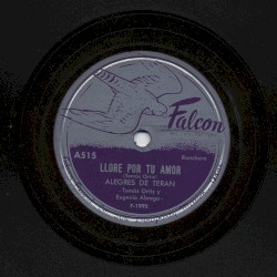 Lloré por tu amor / Cariño fingido