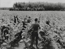 only you alone inside hollow out the words