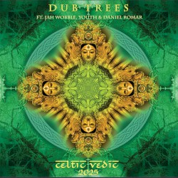 Celtic Vedic