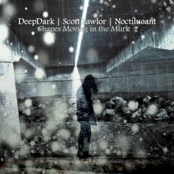 Shapes Moving in the Murk (remastered)