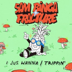 I Jus Wanna / Trippin’