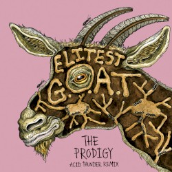 Elitest G.O.A.T. (The Prodigy Acid Thunder mix)