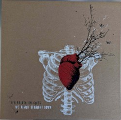 We Aimed Straight Down