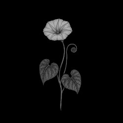 Storytelling #1: Reminiscences of Inner Scenery