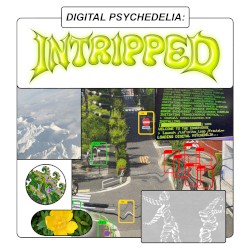 Digital Psychedelia: Intripped