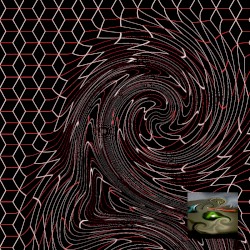 screaming echo mango