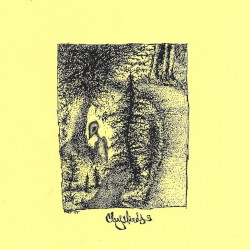 A Seperation From Vanity