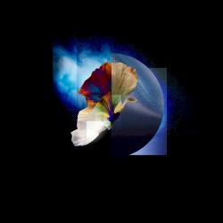 Against the Fall of Night