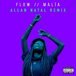 FLOW (Allan Natal Remix)