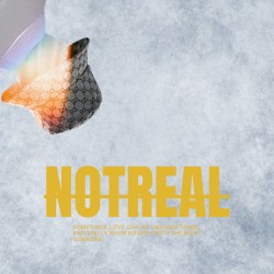 Not Real