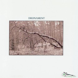 Dronament