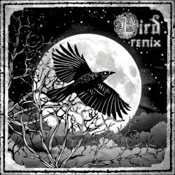 Shadows (the remixes)