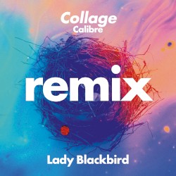 Collage (Calibre remix)