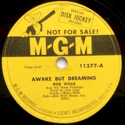 Awake but Dreaming / Steamboat Stomp