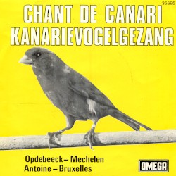 Chant de canari / Kanarievogelzang