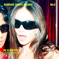 IN A MOOD (Sophie Gray remix)