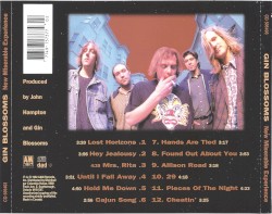 New Miserable Experience