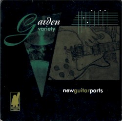 New Guitar Parts / Drive By Negly