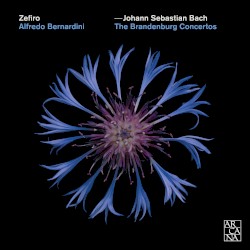 The Brandenburg Concertos