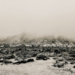 Mnemonic: Ambient Mosaic