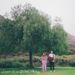 Love Is a Wild Thing (Acoustic)