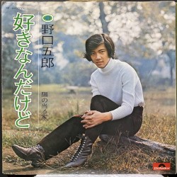 好きなんだけど