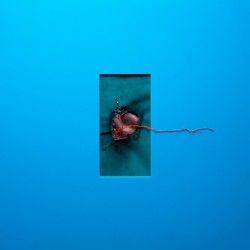 It’s Just a Feeling