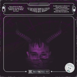 CE MONDE EST RALENTI