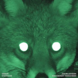 Stadtfuchs (Remixe)