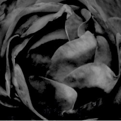 All In All (Special Edition)