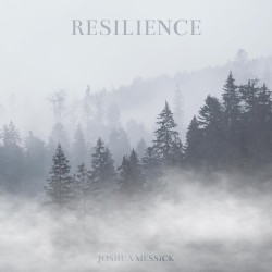 Resilience