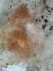 Blurred Memories, Clouded Reasons