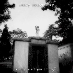 I Only Visit You at Night