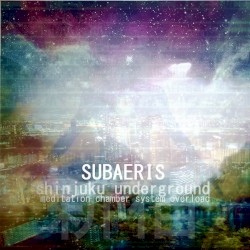 Shinjuku Underground: Meditation Chamber System Overload