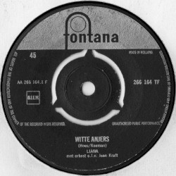Witte anjers